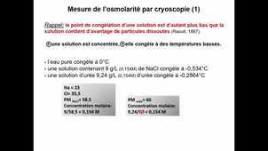 HLBI406_Transferts membranaires_CM4 diapo 106 à 147