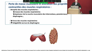 [Backup 2024] S2 UE4 - Pr.Hayot - Physiologie Humaine - 05/03/2025