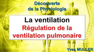 Régulation de la ventilation pulmonaire