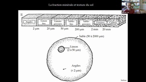 HLBE405 Ecologie fonctionnelle Coq Partie 1