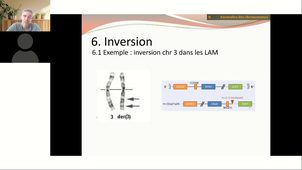 CM7 - Vidéo - GATINOIS Cytogénétique Explorations pangénomiques 2026-2027