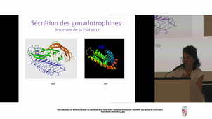 DFGSM2 Repro-Fertilité-Embryo à enregistrer CM5 Irma ZUNA.m4v