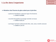 Diaporama sonorisé