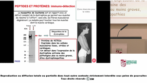 PASS_UE1_LEHMANN_20260921.m4v