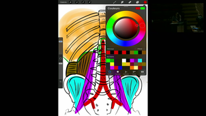 03/02/2023	10h00	11h00	Appareil rénal et voies urinaires - CM2	Dr Duraes	Amphi Anatomie	DFGSM2