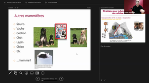 Ziegelmann 10.11.25 - 13h-15h.mp4