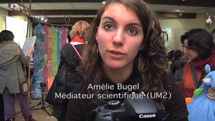 Premiers résultats du congrès mondial de peluchologie.