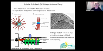 TU05 Nucleus - Emmanuel Cornillot - 01-12-25.m4v