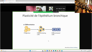 M1S2_Pr.Engi_ Des cellules souches bronchiques aux iPS : nouvelles stratégies thérapeutiques en pneumologie_18/11/2024