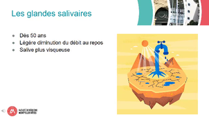 CM2515_HACQUARD MA_3_Mastication vieillist des structures anatomiques.mp4