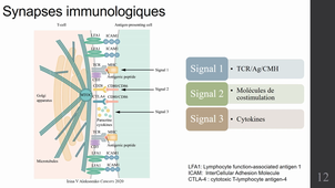 DFGSM2-Vaccination-Alexandre-Jentzer 12 12 2022