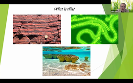 Evolution and Symbiosis in Biology.mp4