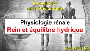 Rein et équilibre hydrique