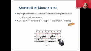 Dr Barateau amphi Rabelais 11/10 cours Sommeil - Ecrnas / Service Sanitaire 14h-16h