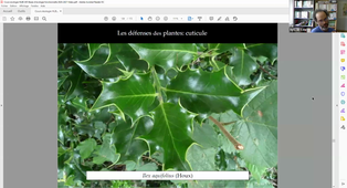 Vidéo Cours COQ Ecologie fonctionnelle 2021 - Partie 3