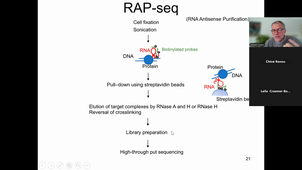 20261019-HAV710V_Splicing End_ncRNA.mp4
