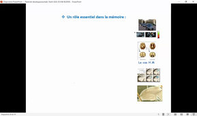 CM Plasticité