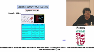 UE4-CHENIVESE_25022025