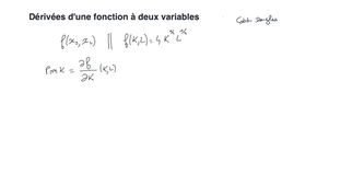Capsule 2: Dérivées d'une fonction à deux variables