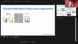 Applied senotherapies in preclinic and clinic studies_Jean-Marc BRODELLO