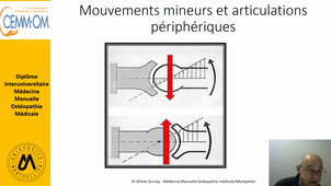 Mobilisation Articulation Fémoro tibial Genou   Kaltenborn