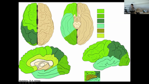 15-09-22-DFGSM2-CM12-Appareil neurosensoriel-Laure Berny