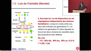 UE2 ECUE2.3 COSSEE 26/10/2022