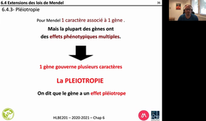 cours genetique formelle licence Pierrick Labbe - partie 2