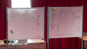 Anatomie fonctionnelle membre supérieur	D Bonneau