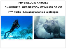LICENCE DE BIOLOGIE Cours de Physiologie animale CHAPITRE 7 : RESPIRATION ET MILIEU DE VIE 7ème Partie : Les adaptations à la plongée