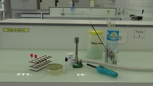 Video oxydase