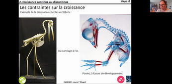 HLBE201-cours7-chap2