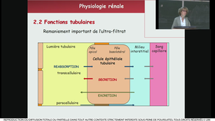 S1UE4_ECUE4.1_MULLER_PHARMA_05102022