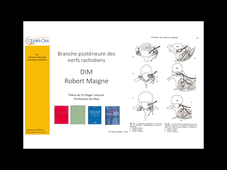 Theorie_Rachis_Sd Maigne_Angers_2020