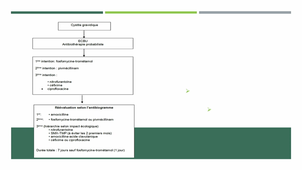 DFASM2 MIE - VINTEJOUX