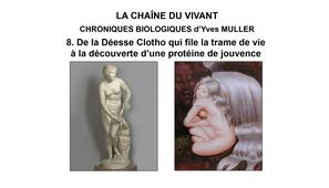 8. La Chaîne du Vivant - Chroniques Biologiques d’Yves Muller - De la Déesse Clotho qui file la trame de vie à la découverte d’une protéine de jouvence