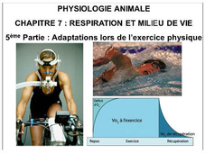 LICENCE DE BIOLOGIE Cours de Physiologie animale CHAPITRE 7 : RESPIRATION ET MILIEU DE VIE 5ème Partie : Adaptations lors de l’exercice physique