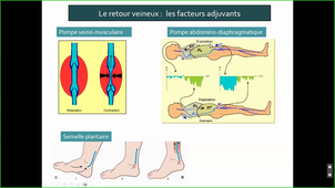 27-10-26-DFGSM3-Appareil cardiovasculaire- Perez Martin A-CM4 et 5.mp4