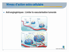 Thérapies ciblées en oncologie - Dr F. Clatot
