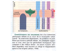 HAT103T Crises biologiques et temps géologiques