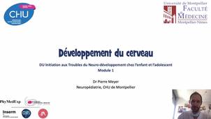 Développement du cerveau – P. MEYER, Neuropédiatre