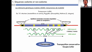 Cours Jérôme Poli Génétique 2 - HLBI601 partie 2