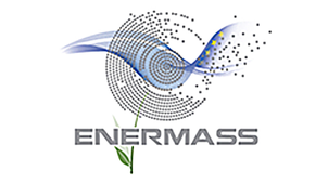 Advanced Biofuels del Campo