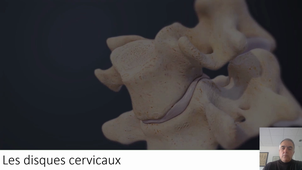 Rachis_Cervical_Theorie_Anatcervicale_dupeyron_2020