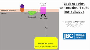 Article 6 trafic