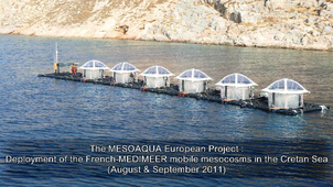 MESOAQUA European project : Deployment of the French-MEDIMEER mobile mesocosms in the Cretan Sea