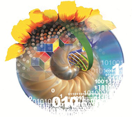 Exposition 'Pourquoi les mathématiques ?'