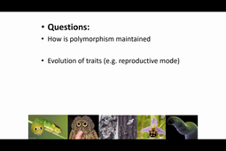 Population Genetics 1 Feb 8 2021