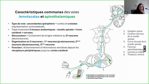 DFGSM2-Appareil neuro-CM9-Léa Sellin.mp4