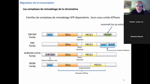 20261020-HAV509V-Transcription2ePartie.mp4